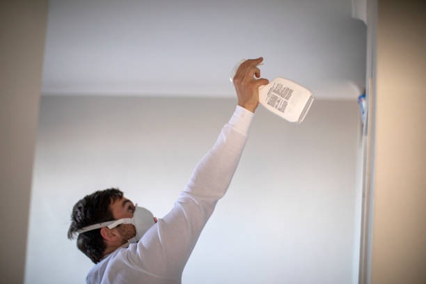 Best Bathroom Mold Remediation in Lennox, CA